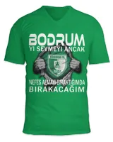 Unisex Jersey SS V-Neck T-Shirt
