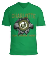 Unisex Jersey SS V-Neck T-Shirt Unisex Jersey SS V-Neck T-Shirt