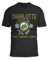 Unisex Jersey SS V-Neck T-Shirt Unisex Jersey SS V-Neck T-Shirt