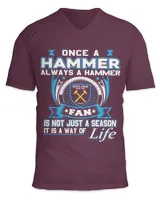 Unisex Jersey SS V-Neck T-Shirt