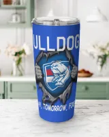 Viking Tumbler (20oz)