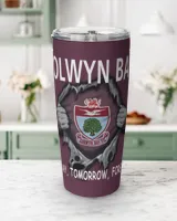 Viking Tumbler (20oz) Viking Tumbler (20oz)