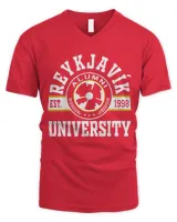Men's V-Neck T-Shirt Men's V-Neck T-Shirt