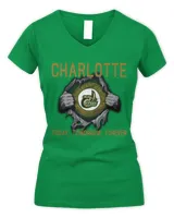 Women's V-Neck T-Shirt Women's V-Neck T-Shirt