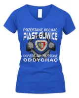 Women's V-Neck T-Shirt Women's V-Neck T-Shirt