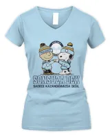 Women's V-Neck T-Shirt Women's V-Neck T-Shirt