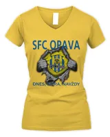 Women's V-Neck T-Shirt Women's V-Neck T-Shirt