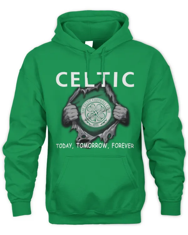Lurgan Celtic FC today Forever NIRE