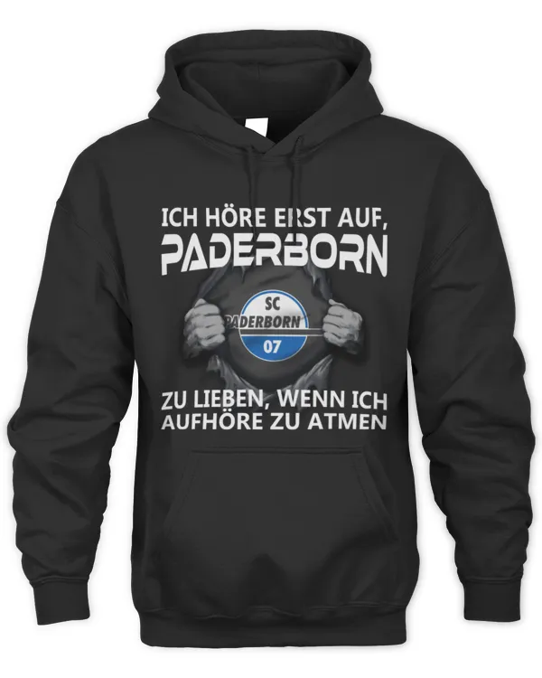 SC Paderborn 07 I will only stop GER