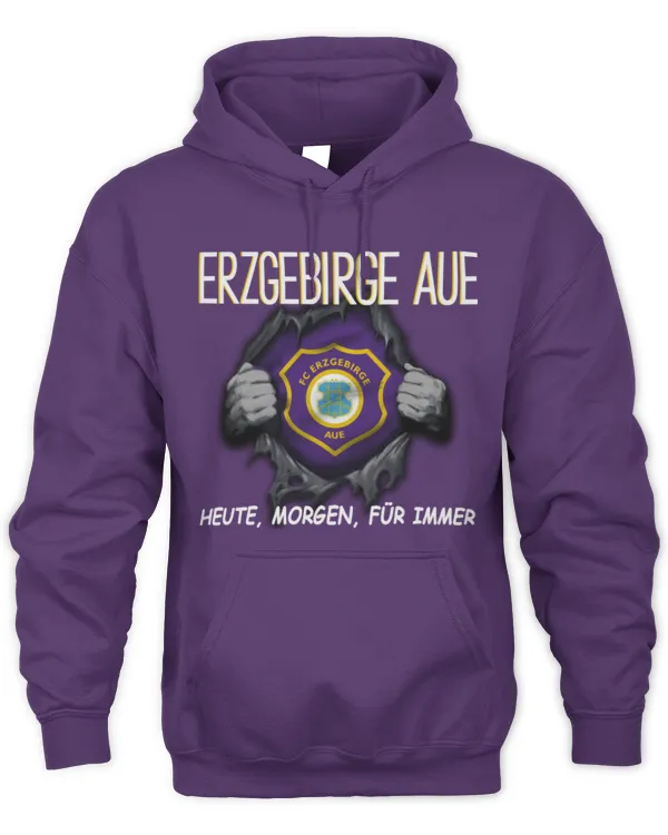 FC Erzgebirge Aue Today forever GER