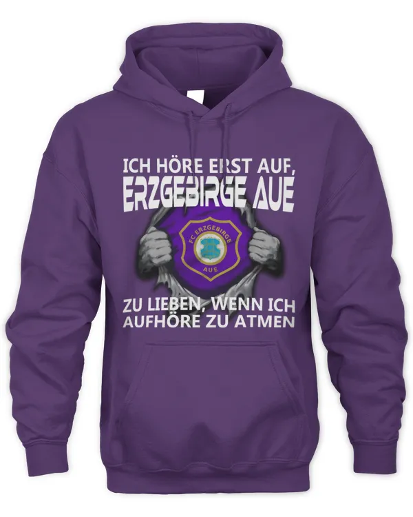 FC Erzgebirge Aue I will only stop GER