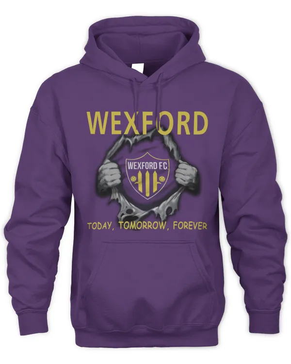 Wexford FC today Forever EN IRE