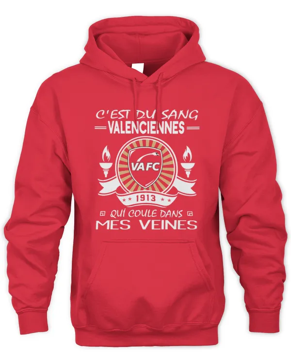 Valenciennes FC Blood runs FRA