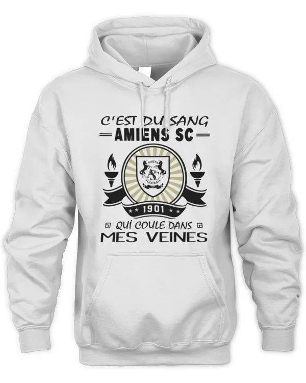 Amiens SC Blood runs FRA