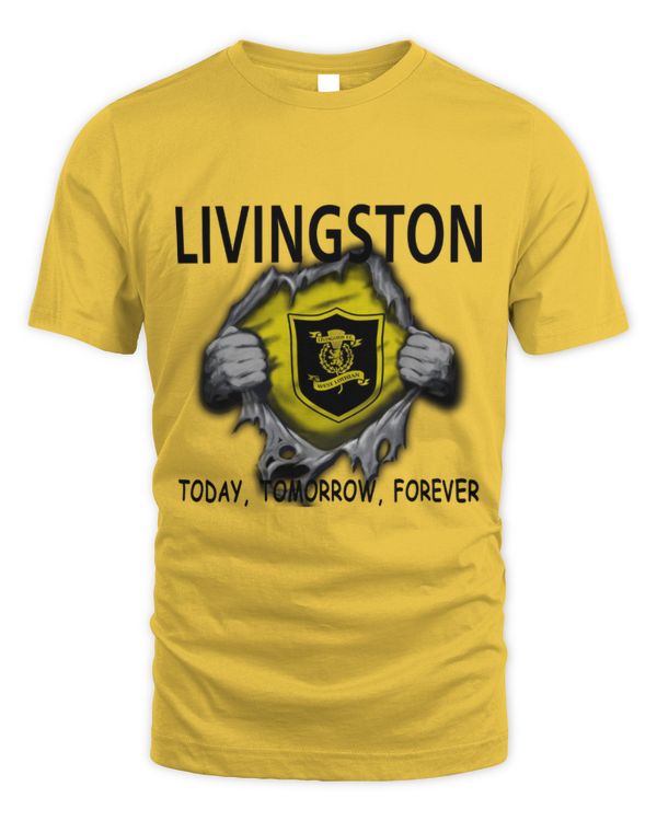 Livingston FC today Forever SCO