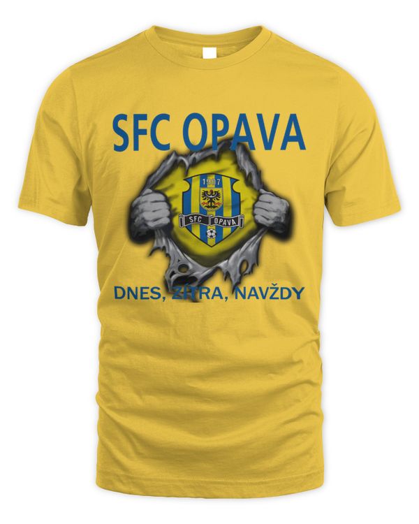 SFC Opava today forever CZE