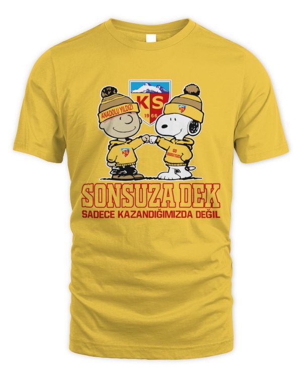Kayserispor not just we win TUR