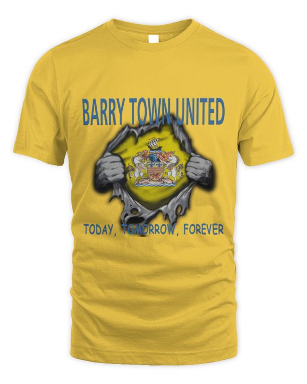 Barry Town United Today forever Wales