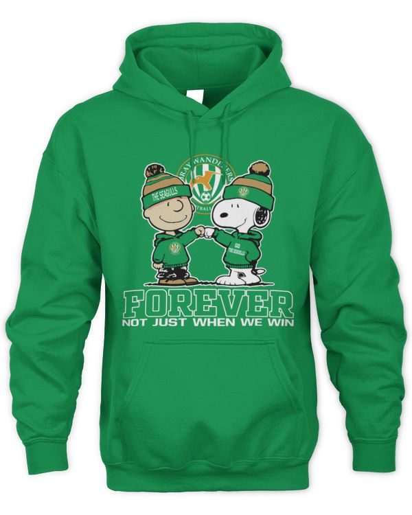Bray Wanderers FC not just we win IRE