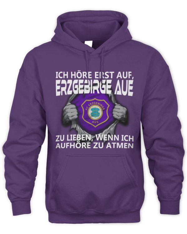 FC Erzgebirge Aue I will only stop GER