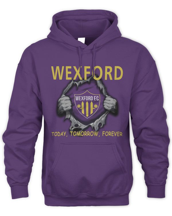 Wexford FC today Forever EN IRE