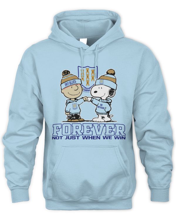 Ballymena United FC not just we win NIRE