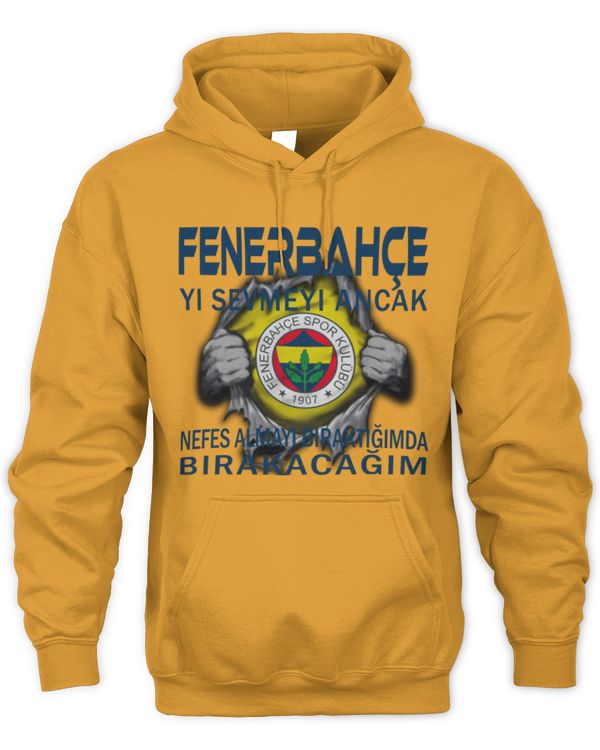 Fenerbahce SK I will only stop TUK
