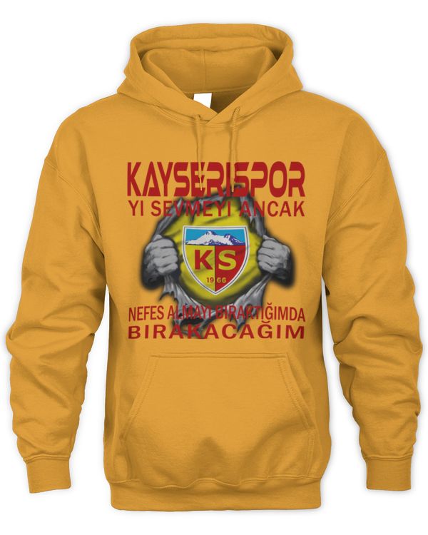 Kayserispor I will only stop TUK