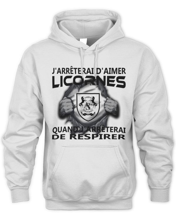 Amiens SC I will only stop FRA