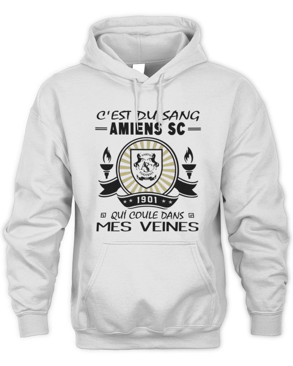 Amiens SC Blood runs FRA